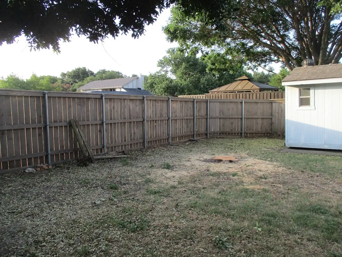 Cleared yard after professional tree removal in Monmouth Beach