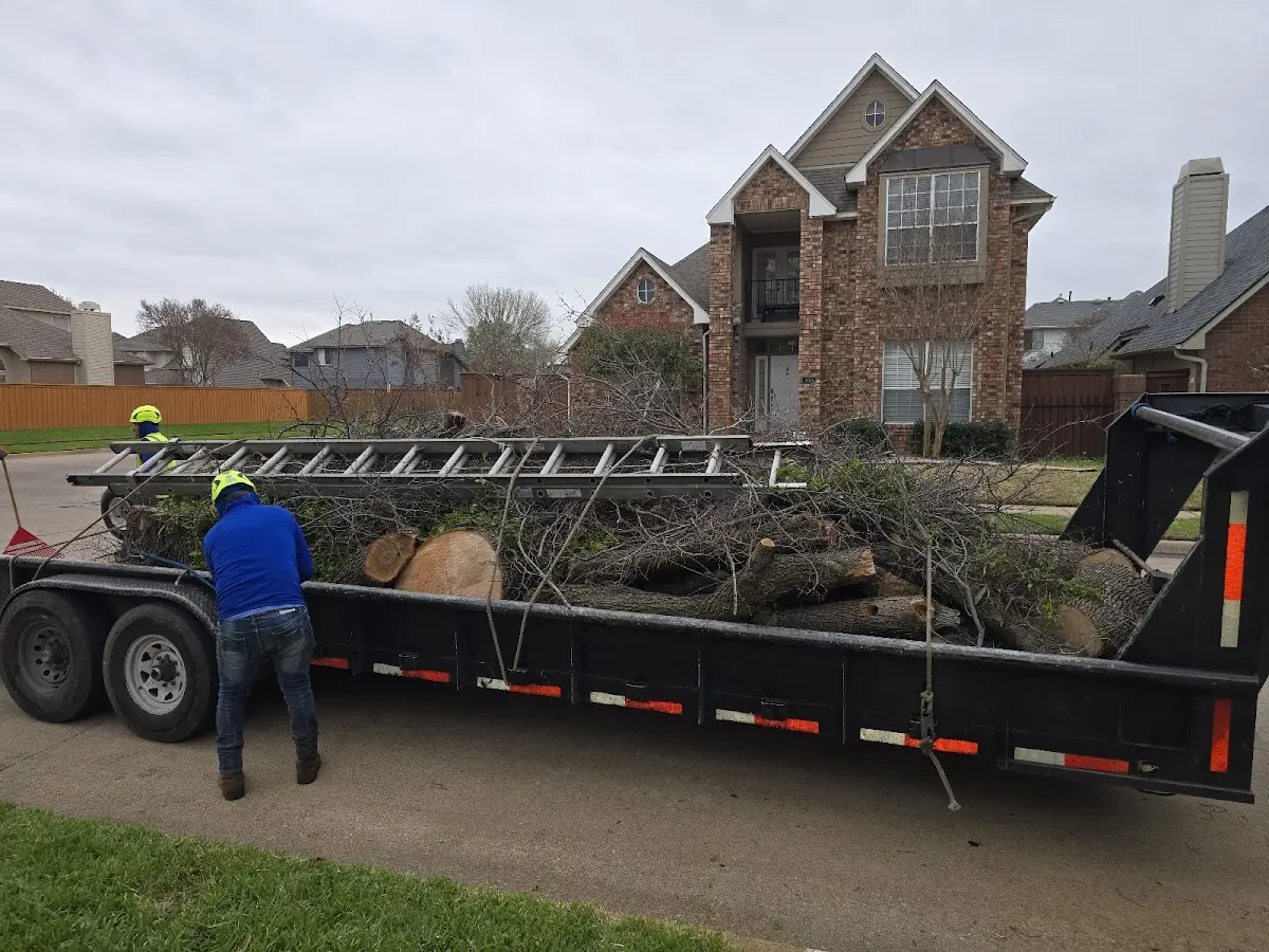 Expert Tree Fertilization with proper safety equipment in Monmouth Beach